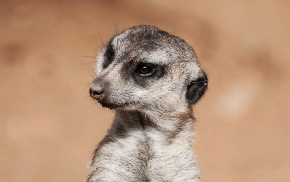 Wij zijn nooit bang om klanten te vragen: wat vind je van ons?